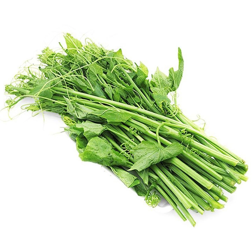 74d18cc13c71e54ebe1982f79e2a061f