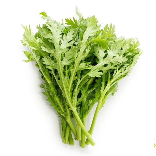 tan-o-huu-co-500x500