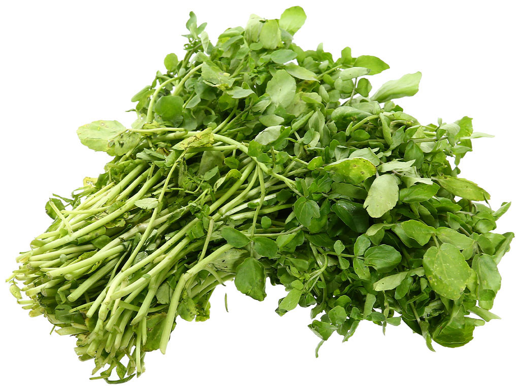 xa-lach-xoong-da-lat-300g-202401132023354849